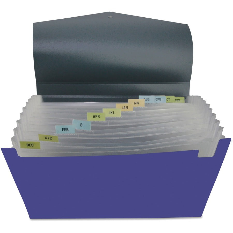 Poly Expanding Files, 13 Sections, Cord/Hook Closure, 1/12-Cut Tabs, Letter Size, Metallic Blue/Steel Gray
