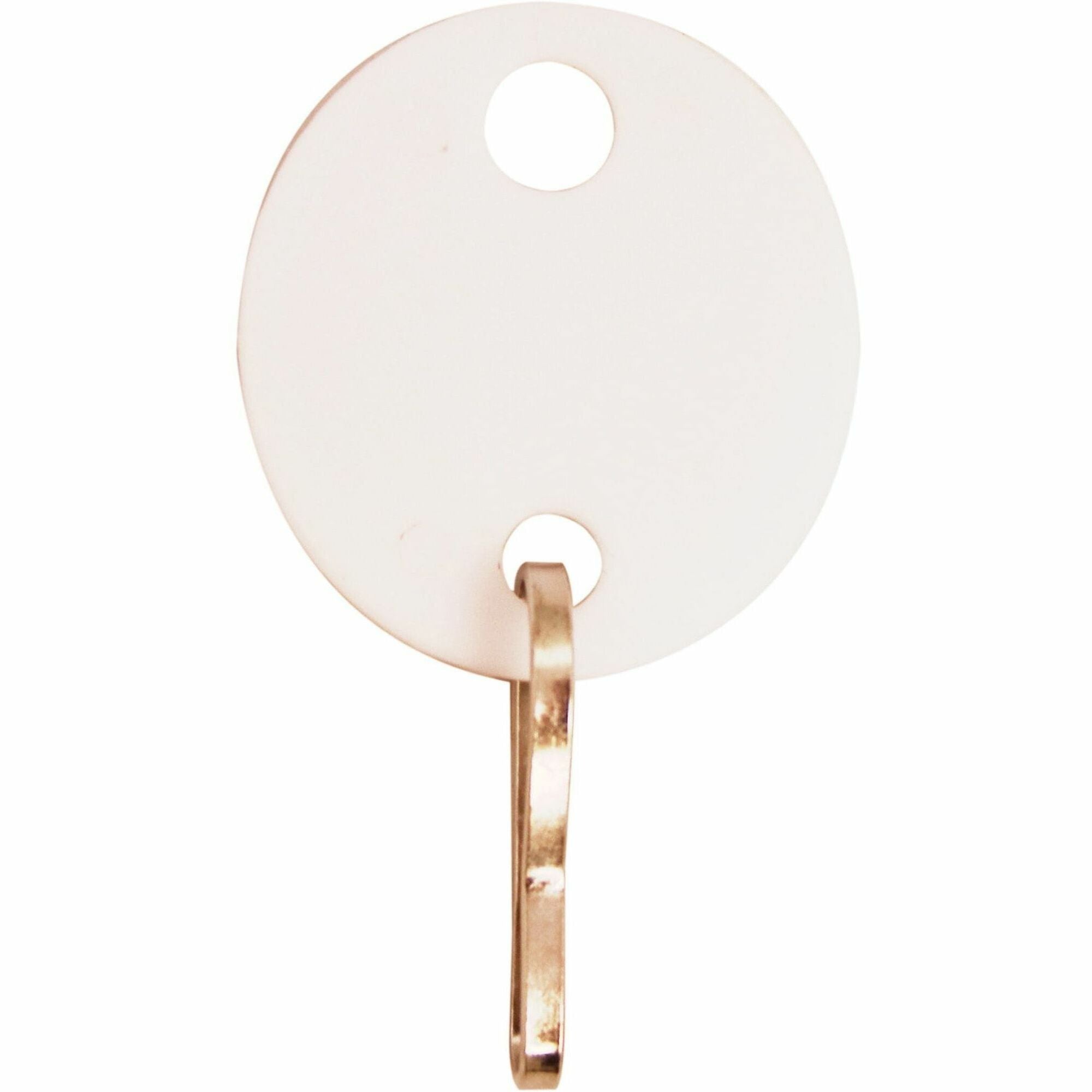 Sparco Oval Key Tags - 0.75" Length x 1.10" Width - Oval - Hook Fastener - 20 / Pack - Plastic - White