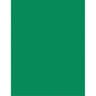 pacon-color-brights-cardstock-emerald-green-letter-8-1-2-x-11-65-lb-basis-weight-100-pack-acid-free-recyclable-lignin-free-buffered-emerald-green_pacp101170 - 4
