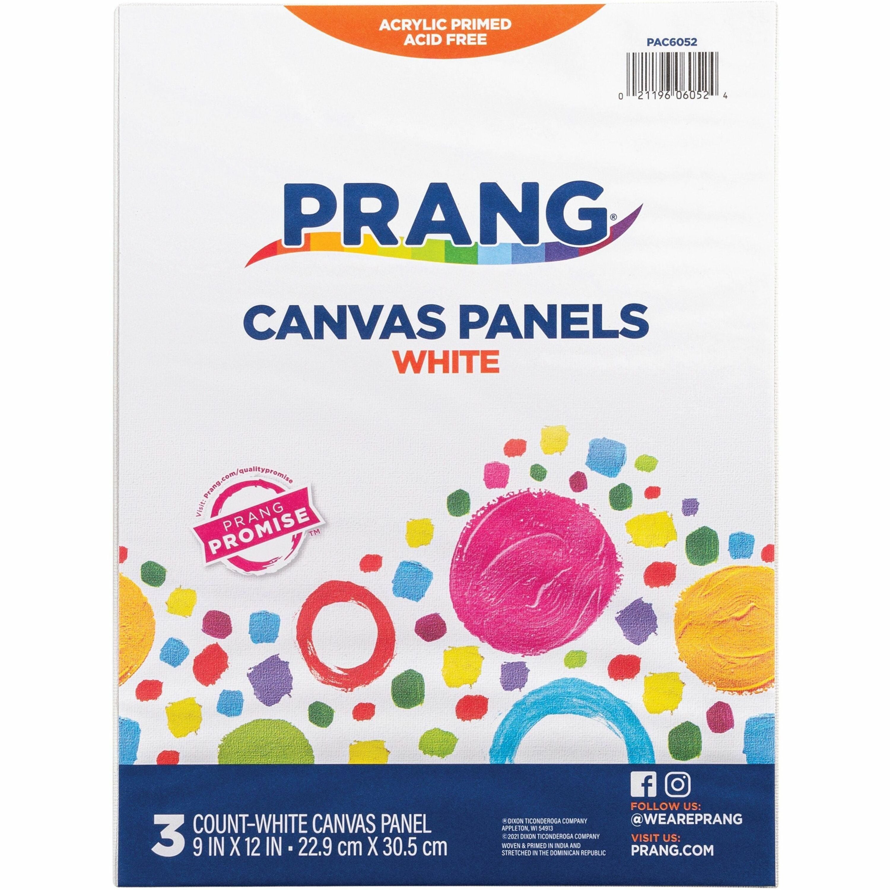 Canvas Panel, 12 x 9, 0.13 Thick, White, 3/Pack