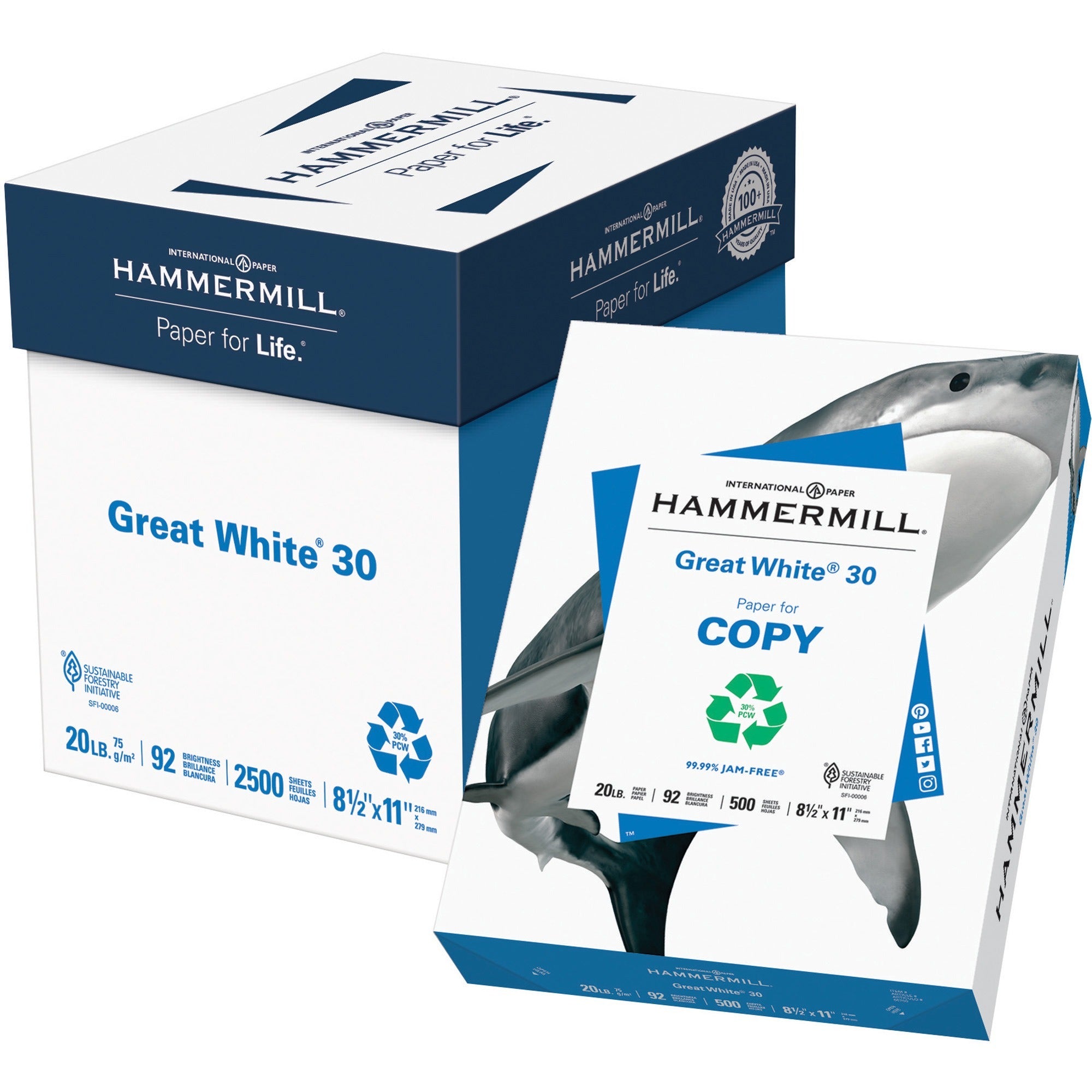 Great White 30 Recycled Print Paper, 92 Bright, 20 lb Bond Weight, 8.5 x 11, White, 500 Sheets/Ream, 5 Reams/Carton