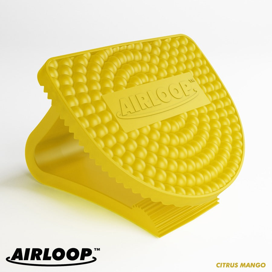 Vectair Systems Airloop Toilet Bowl Clip Air Freshener - Clip - 3000 ft - Citrus Mango - 30 Day - 10 / Carton