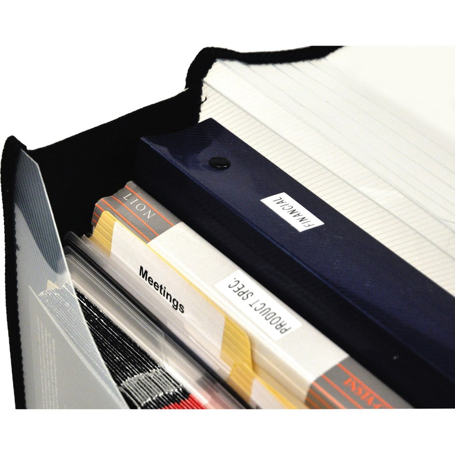Lion EXPAND-N-FILE File Wallet - 3" Folder Capacity - Clear - 1 Each