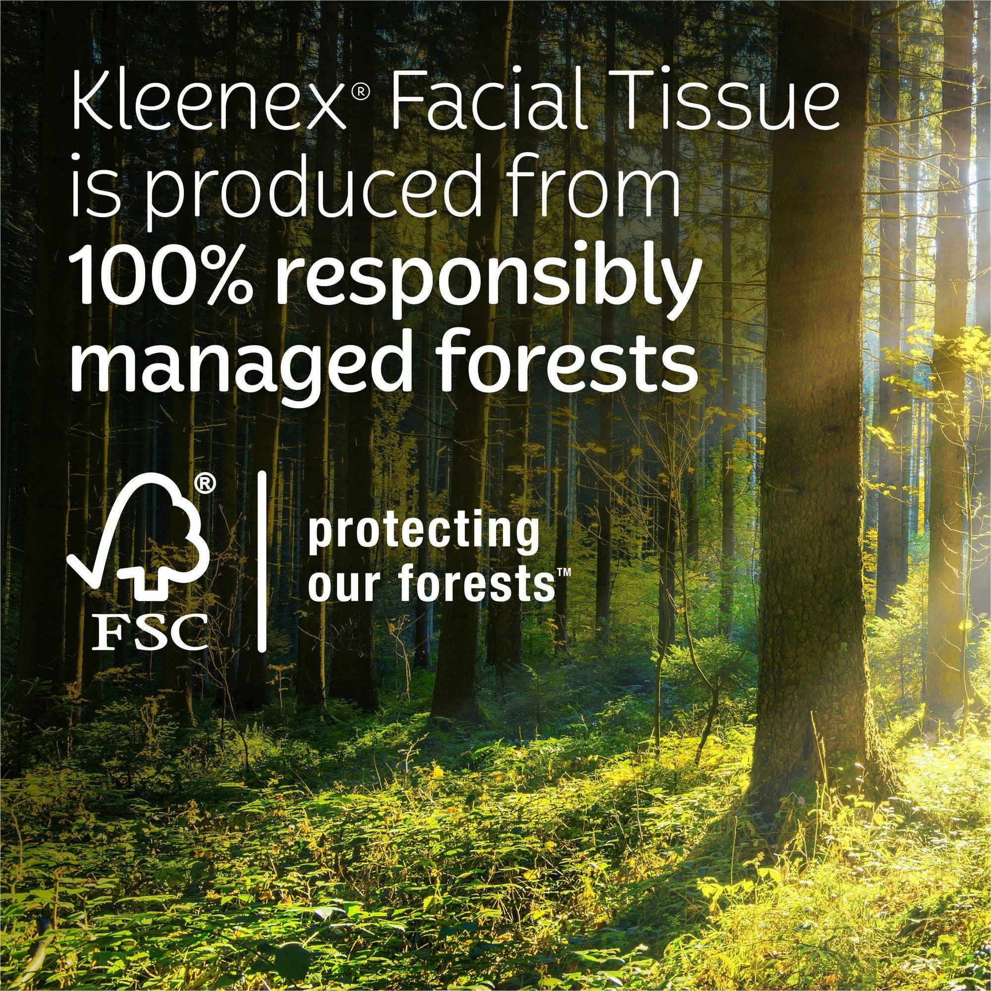 kleenex-soothing-lotion-tissues-3-ply-white-moisturizing-soft-strong-for-face-home-office-business-skin-60-per-box-8-carton_kcc54289ct - 4