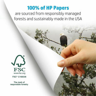 HP Papers Multipurpose20 Copy Paper - White - 96 Brightness - Letter - 8 1/2" x 11" - 20 lb Basis Weight - Smooth - 40 / Pallet - Quick Drying, Smear Resistant - White