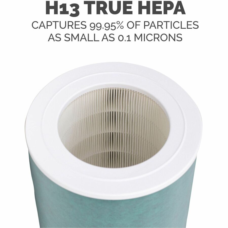 AeraMax SE Combo Filter, 10.87" x 14.75