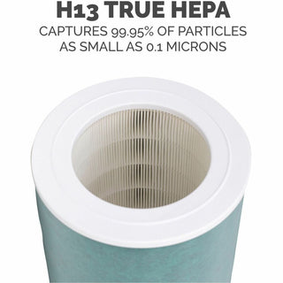 AeraMax SE Combo Filter, 10.87" x 14.75