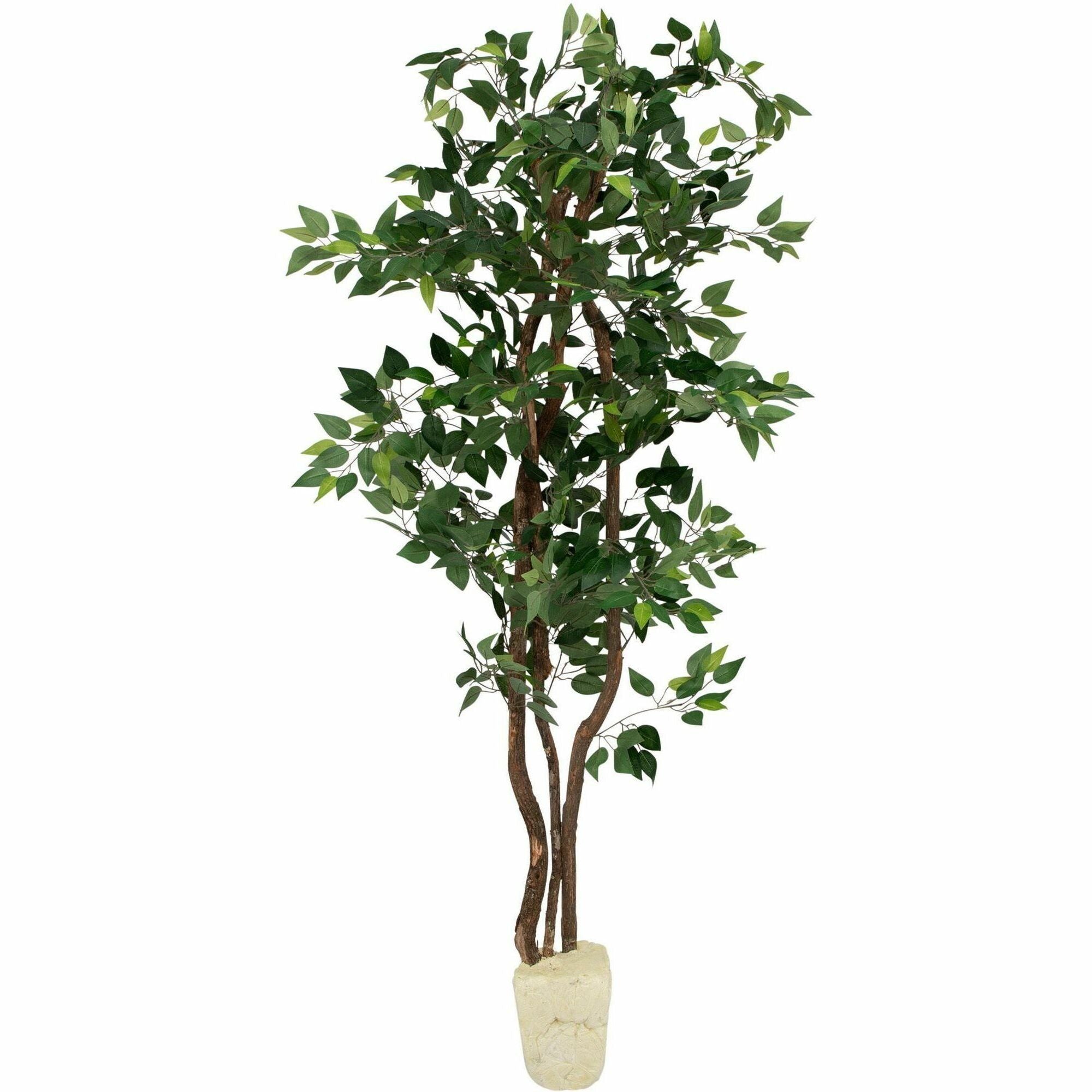Artificial Ficus Tree, 6 ft Tall - 1