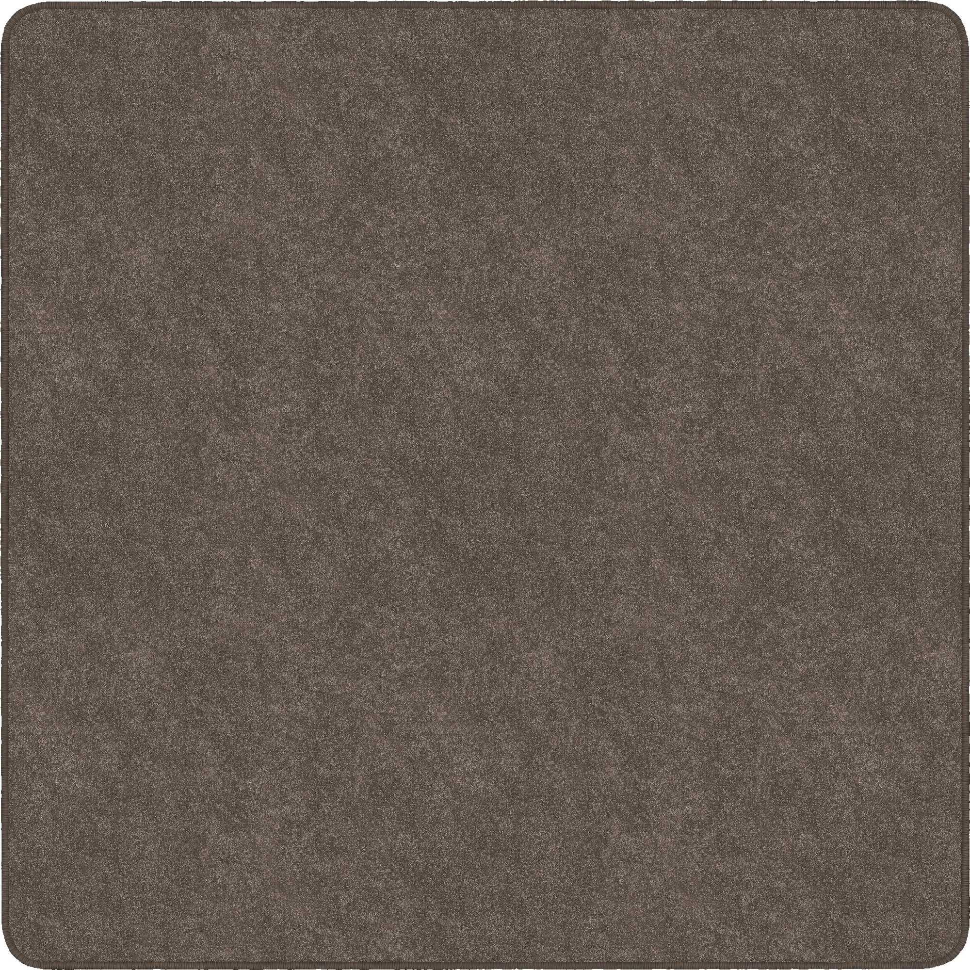 Flagship Carpets Amerisoft Solid Color Rug - 12 ft Length x 12 ft Width - Square - Wheat - Nylon, Polyester - 1