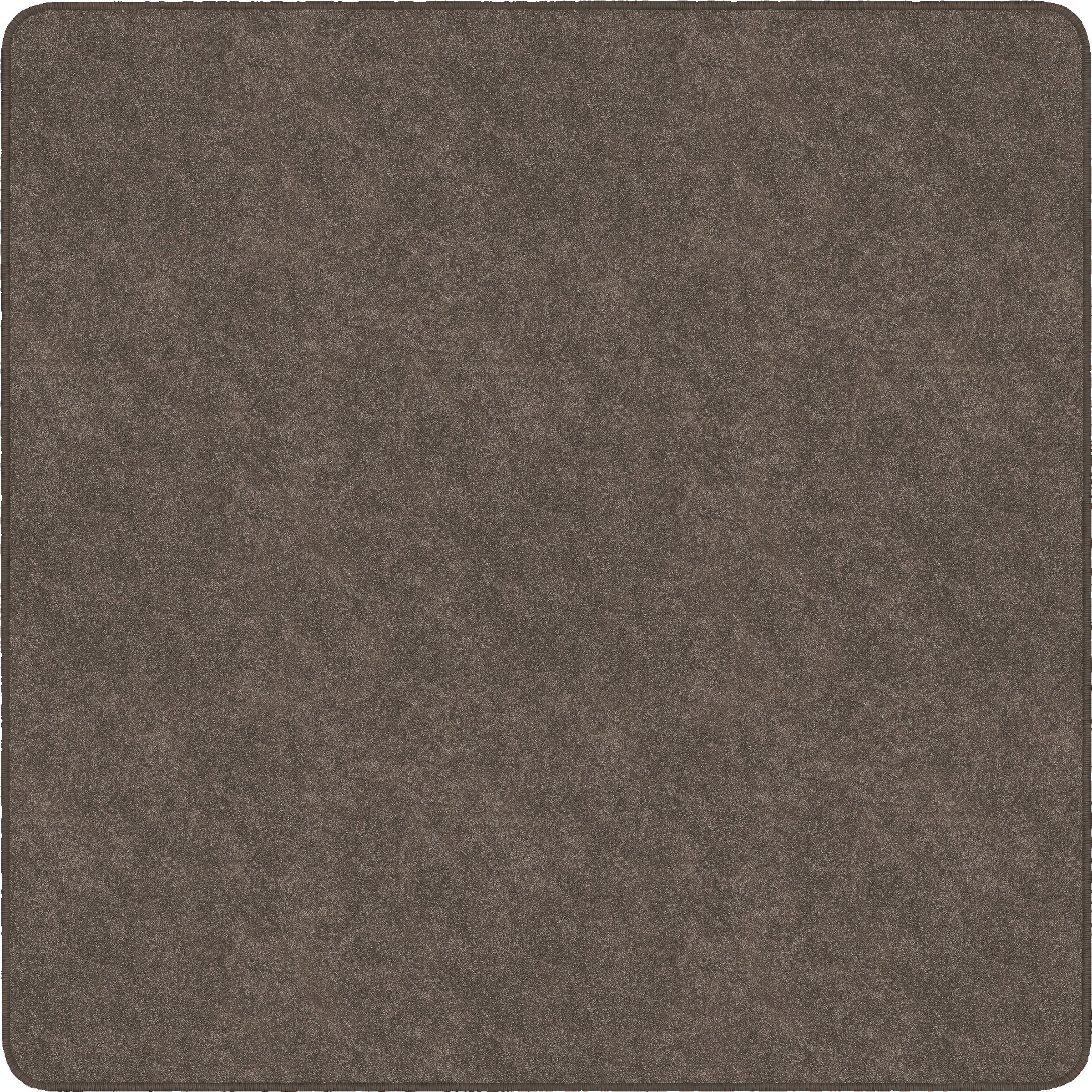 Flagship Carpets Amerisoft Solid Color Rug - 12 ft Length x 12 ft Width - Square - Wheat - Nylon, Polyester - 1