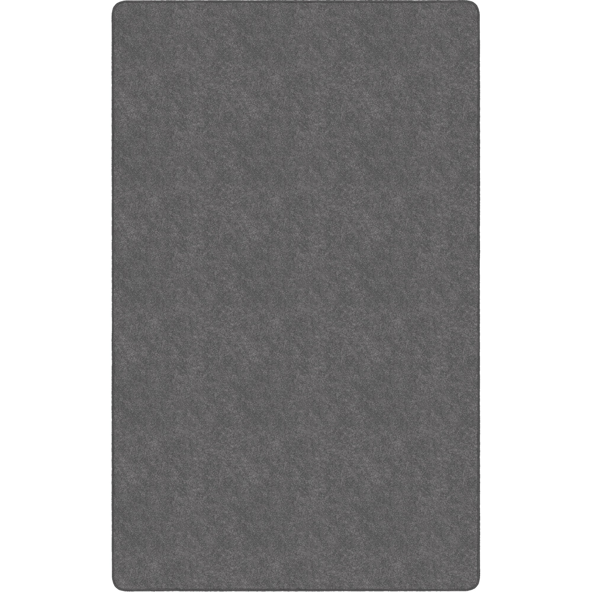 Flagship Carpets Amerisoft Solid Color Rug - 48" Length x 72" Width - Rectangle - Gray - Polyester, Nylon - 1