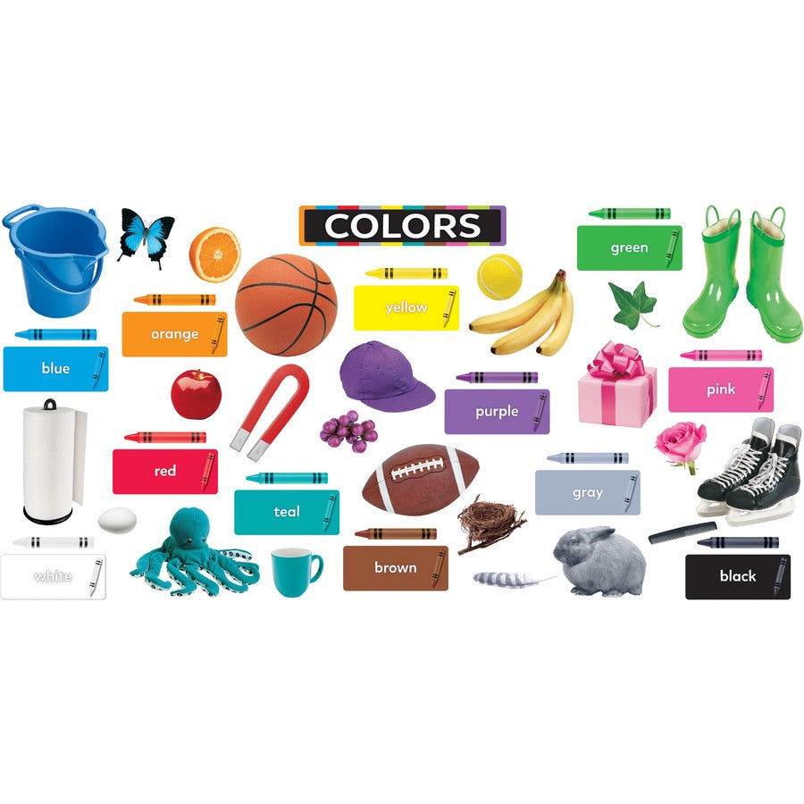 trend-colors-all-around-us-learning-set-learning-theme-subject-durable-reusable-sturdy-multi-1-each_tept19005 - 4