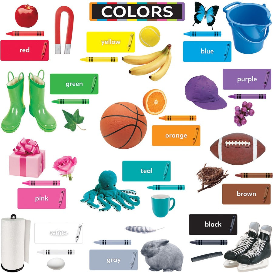 trend-colors-all-around-us-learning-set-learning-theme-subject-durable-reusable-sturdy-multi-1-each_tept19005 - 3