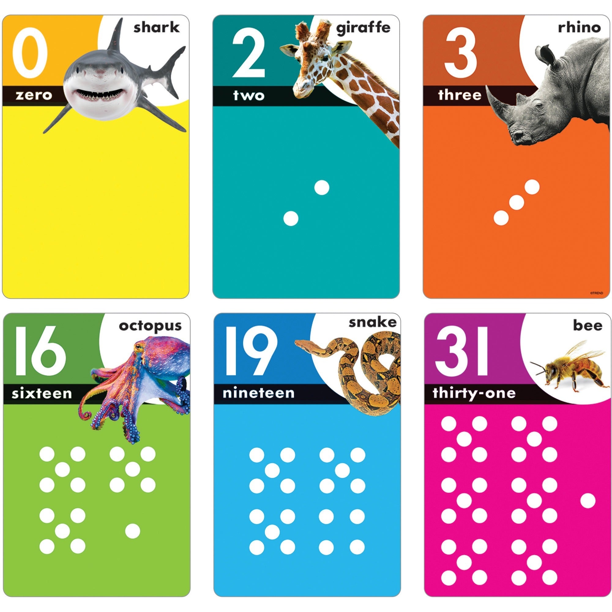 trend-animals-count-0-31-learning-set-with-numbered-counting-cards-theme-subject-fun-skill-learning-animal-shapes-mathematics-number-1-each_tept19008 - 1