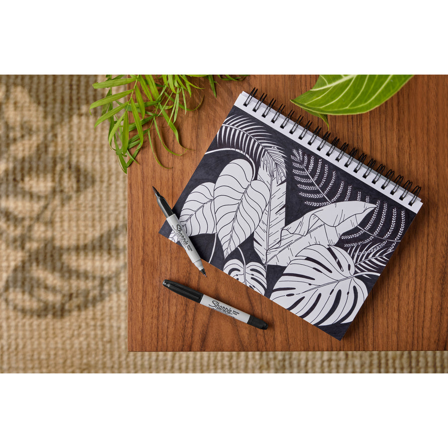 sharpie-brush-twin-permanent-markers-fine-broad-ultra-fine-marker-point-black-12-dozen_san2151734 - 4
