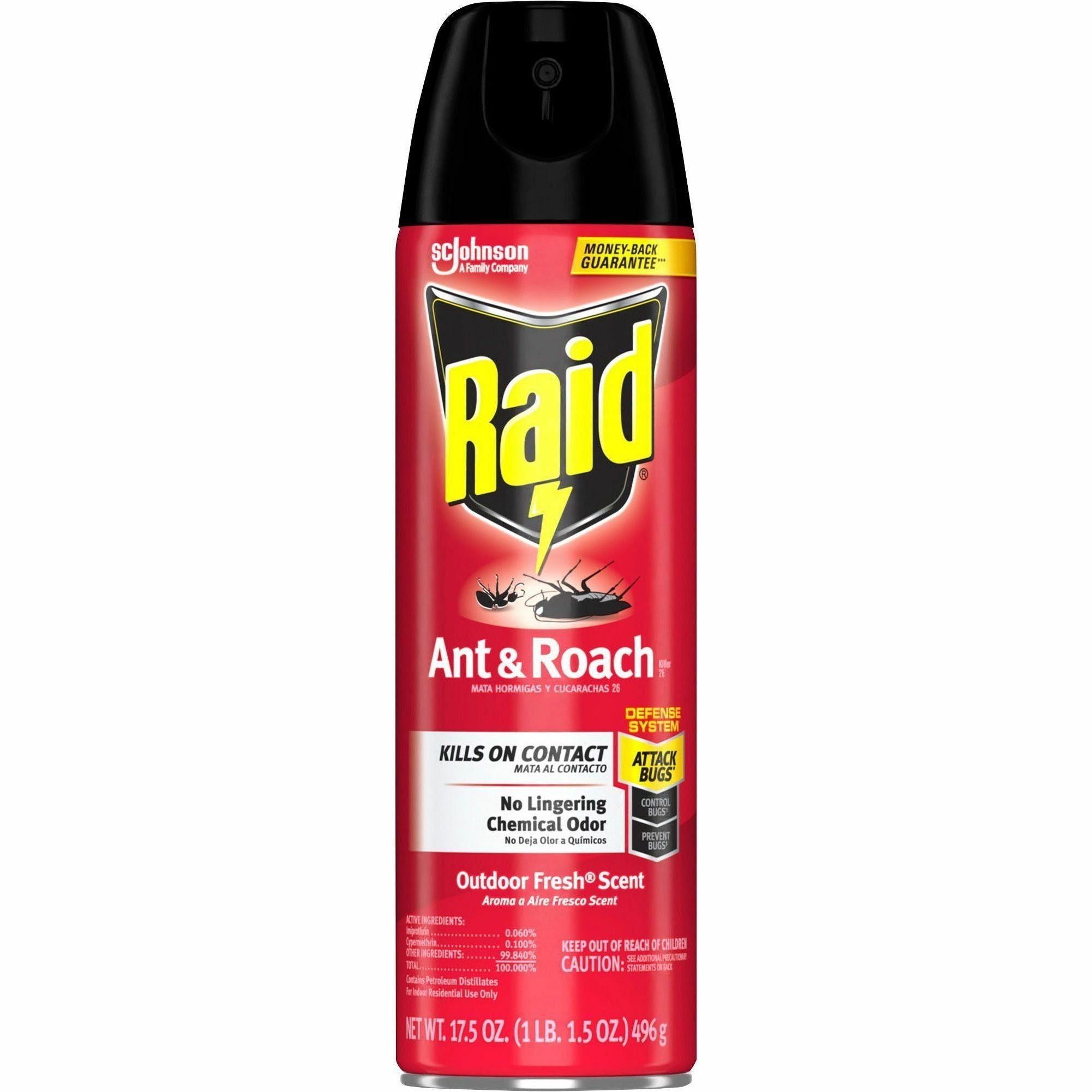 Raid Ant & Roach Killer Spray - Spray - Kills Cockroaches, Ants, Silverfish, Water Bugs, Palmetto Bug, Carpet Beetle, Earwig, Spider, Lady Beetle, Black Widow Spider, Crickets, ... - 1.09 lb - Clear - 12 / Carton - 2