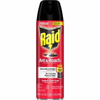Raid Ant & Roach Killer Spray - Spray - Kills Cockroaches, Ants, Silverfish, Water Bugs, Palmetto Bug, Carpet Beetle, Earwig, Spider, Lady Beetle, Black Widow Spider, Crickets, ... - 1.09 lb - Clear - 12 / Carton - 2