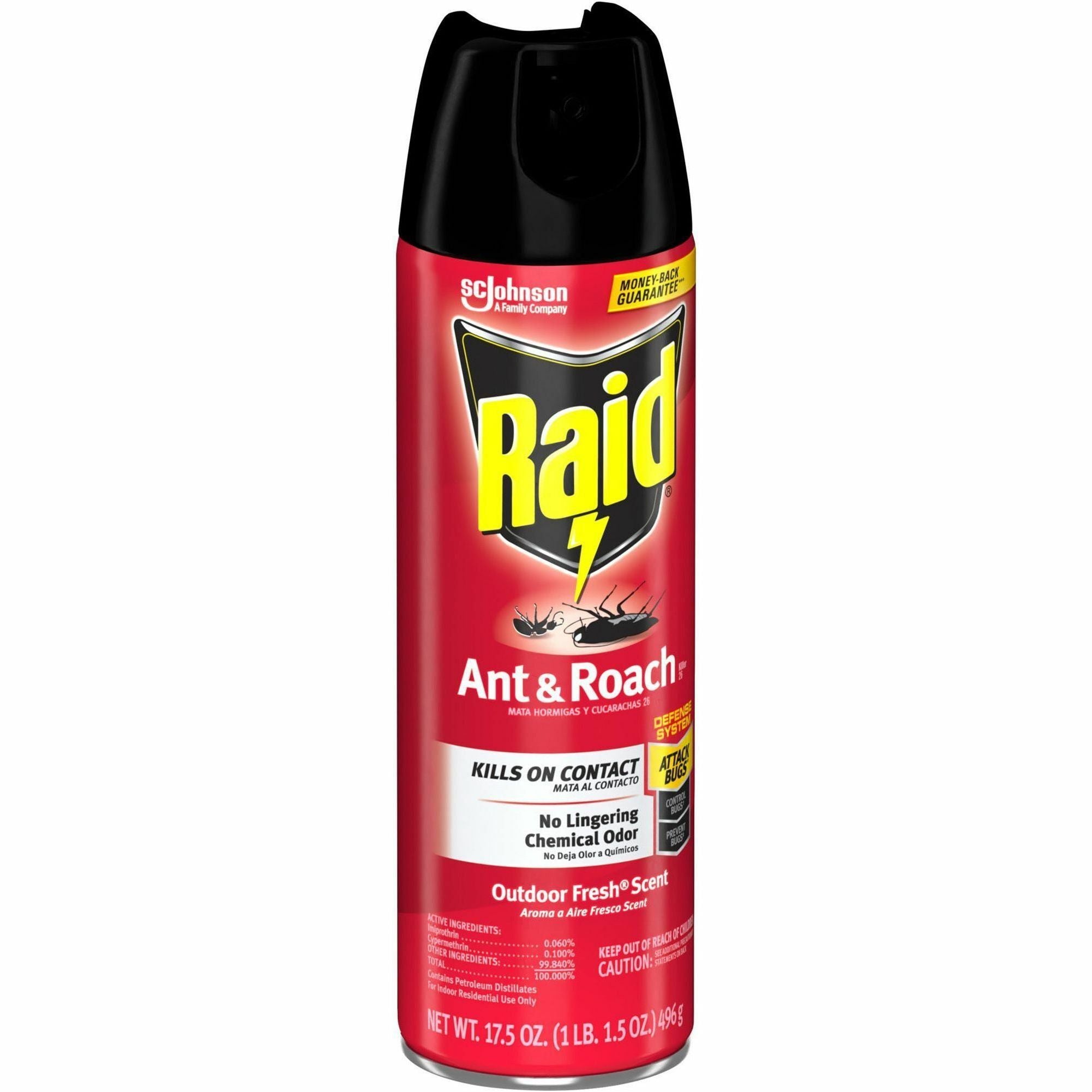 Raid Ant & Roach Killer Spray - Spray - Kills Cockroaches, Ants, Silverfish, Water Bugs, Palmetto Bug, Carpet Beetle, Earwig, Spider, Lady Beetle, Black Widow Spider, Crickets, ... - 1.09 lb - Clear - 12 / Carton - 5