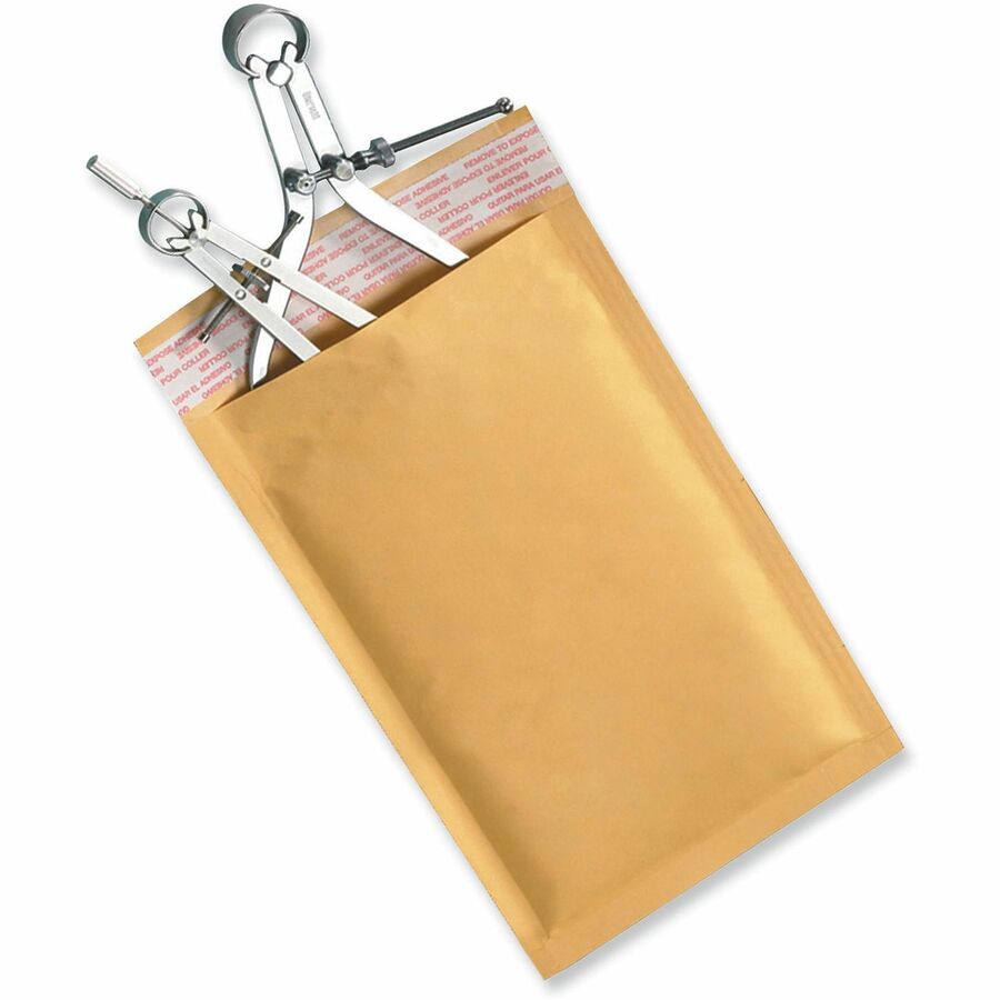 Peel Seal Strip Cushioned Mailer, #0, Extension Flap, Self-Adhesive Closure, 6 x 10, 25/Carton