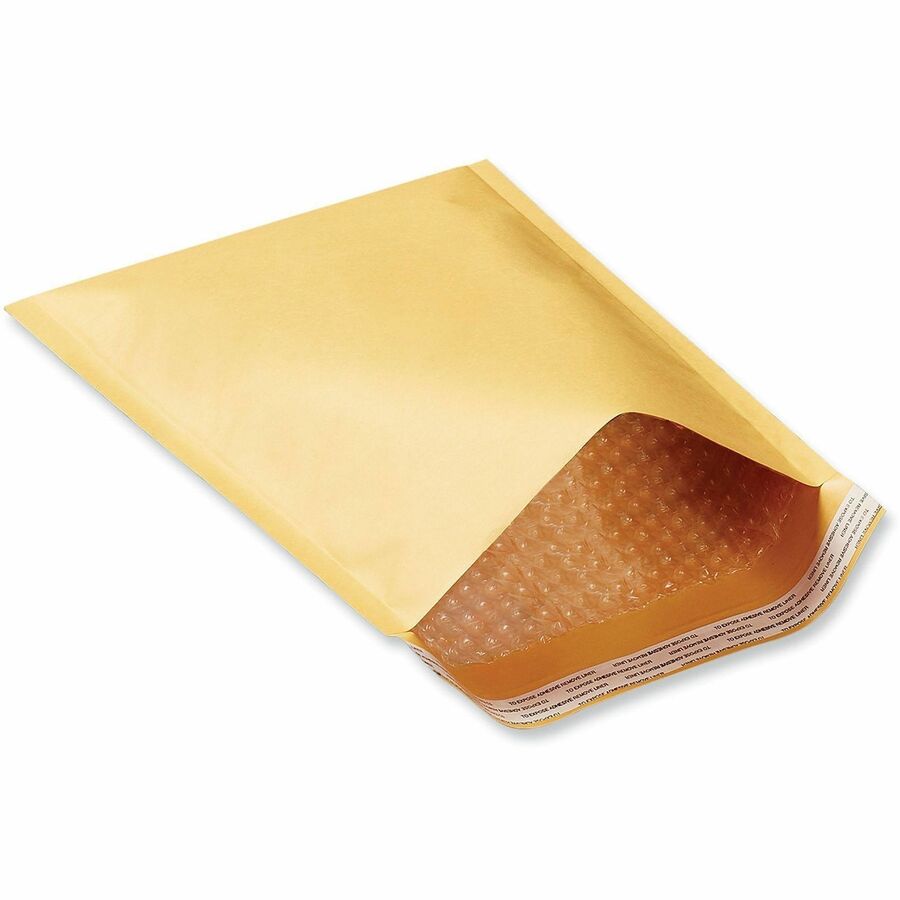 Peel Seal Strip Cushioned Mailer, #000, Extension Flap, Self-Adhesive Closure, 4 x 8, 25/Carton