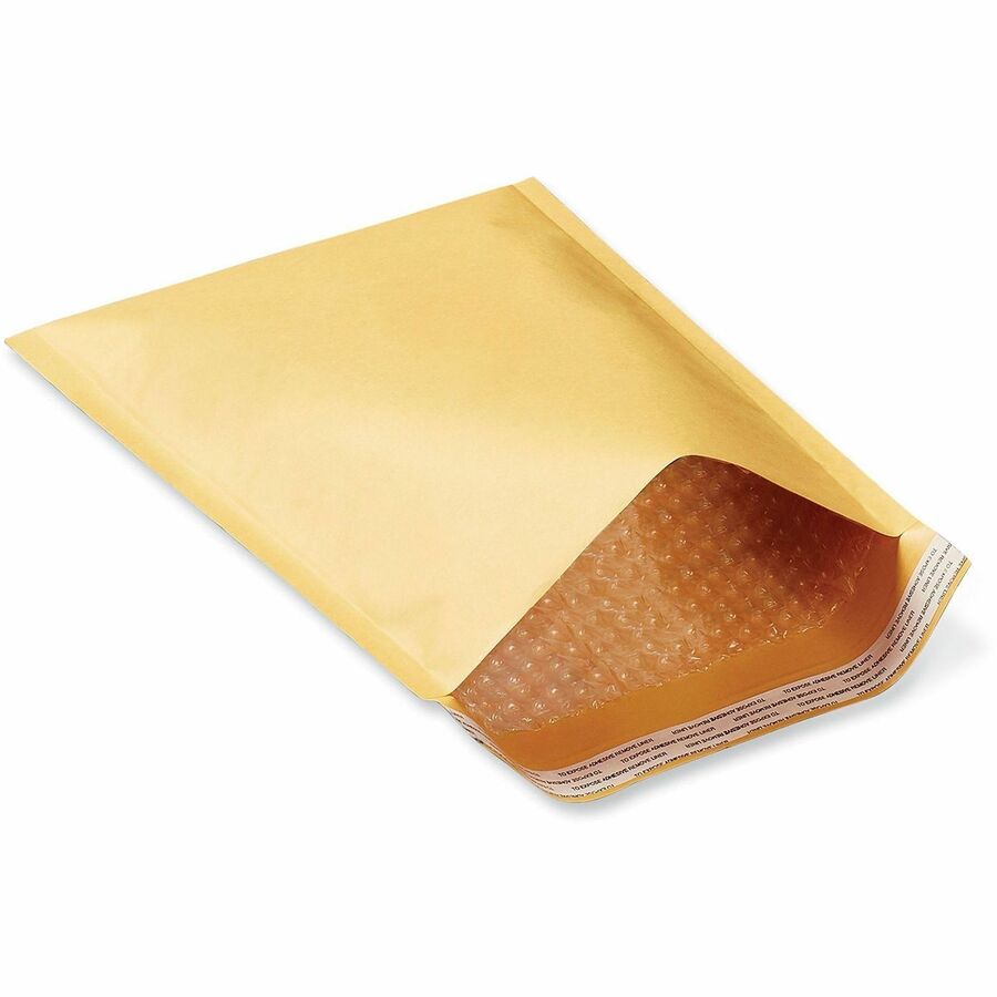 Peel Seal Strip Cushioned Mailer, #000, Extension Flap, Self-Adhesive Closure, 4 x 8, 500/Carton