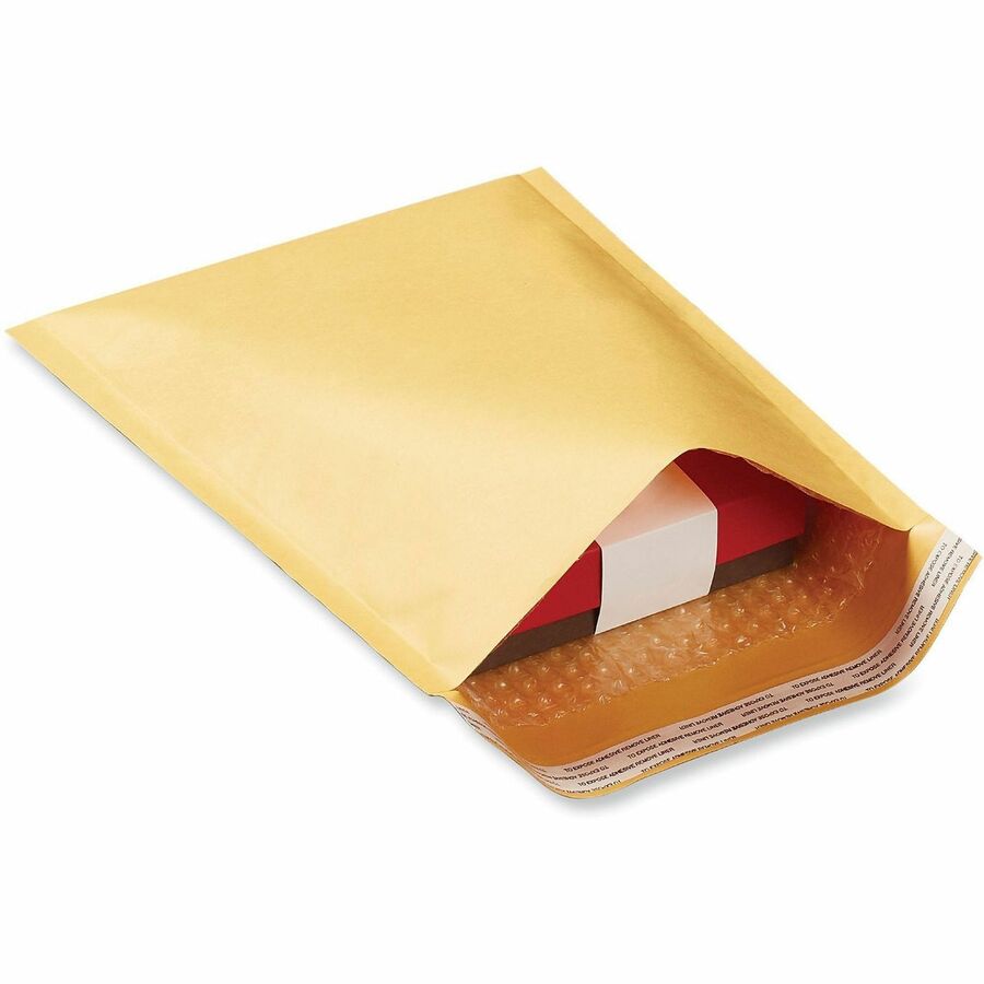 Peel Seal Strip Cushioned Mailer, #0, Extension Flap, Self-Adhesive Closure, 6 x 10, 250/Carton