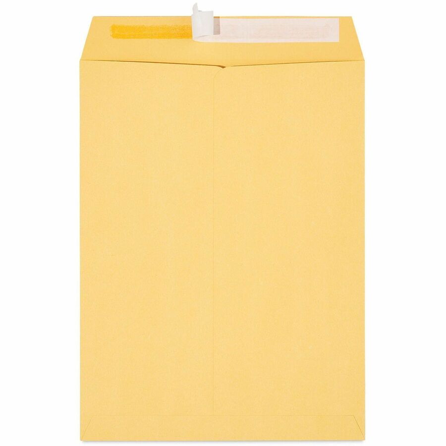 Peel Seal Strip Catalog Envelope, #10 1/2, Square Flap, Self-Adhesive Closure, 9 x 12, Natural Kraft, 100/Box