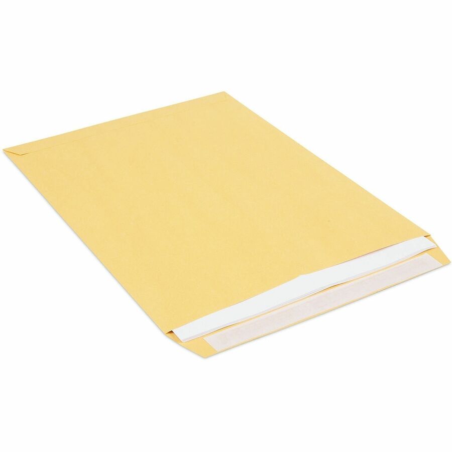 Peel Seal Strip Catalog Envelope, #10 1/2, Square Flap, Self-Adhesive Closure, 9 x 12, Natural Kraft, 100/Box