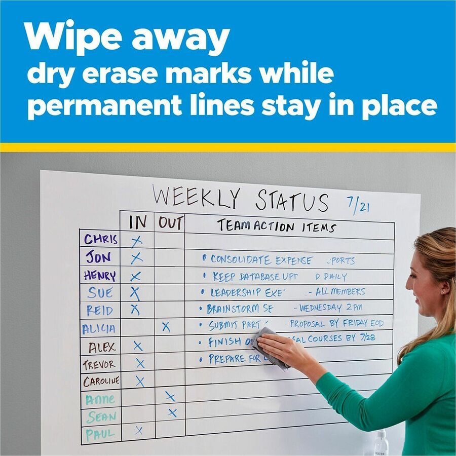 Flex Write Surface, 50 ft x 48, White Surface