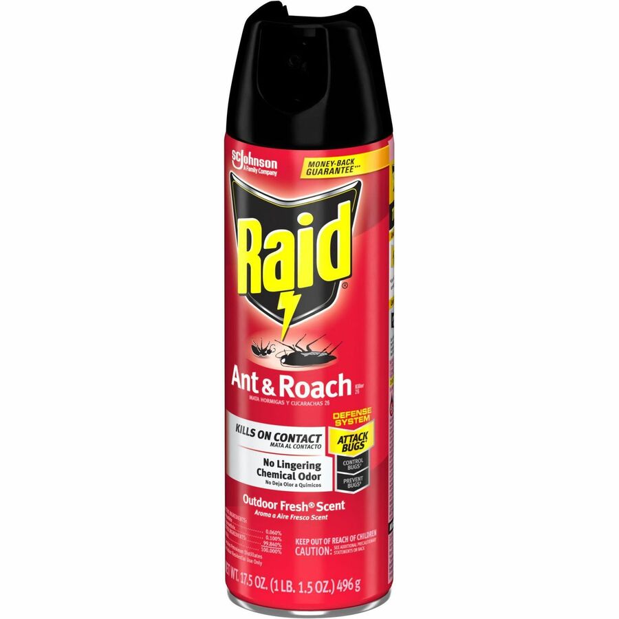 Raid Ant & Roach Killer Spray - Spray - Kills Cockroaches, Ants, Silverfish, Water Bugs, Palmetto Bug, Carpet Beetle, Earwig, Spider, Lady Beetle, Black Widow Spider, Crickets, ... - 1.09 lb - Clear - 12 / Carton