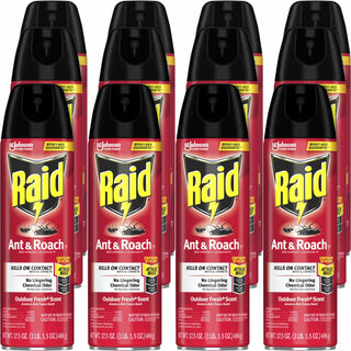 Raid Ant & Roach Killer Spray - Spray - Kills Cockroaches, Ants, Silverfish, Water Bugs, Palmetto Bug, Carpet Beetle, Earwig, Spider, Lady Beetle, Black Widow Spider, Crickets, ... - 1.09 lb - Clear - 12 / Carton