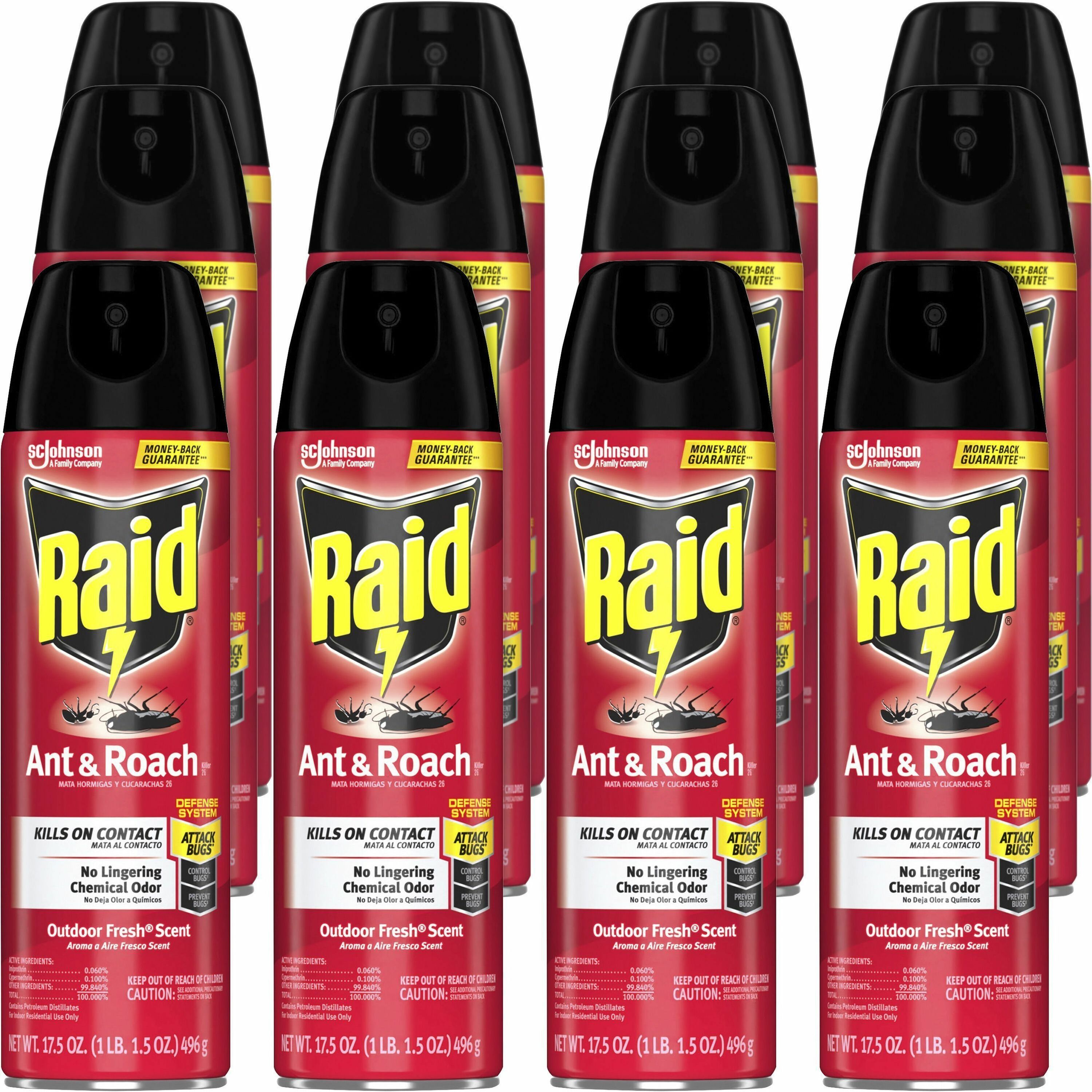 Raid Ant & Roach Killer Spray - Spray - Kills Cockroaches, Ants, Silverfish, Water Bugs, Palmetto Bug, Carpet Beetle, Earwig, Spider, Lady Beetle, Black Widow Spider, Crickets, ... - 1.09 lb - Clear - 12 / Carton