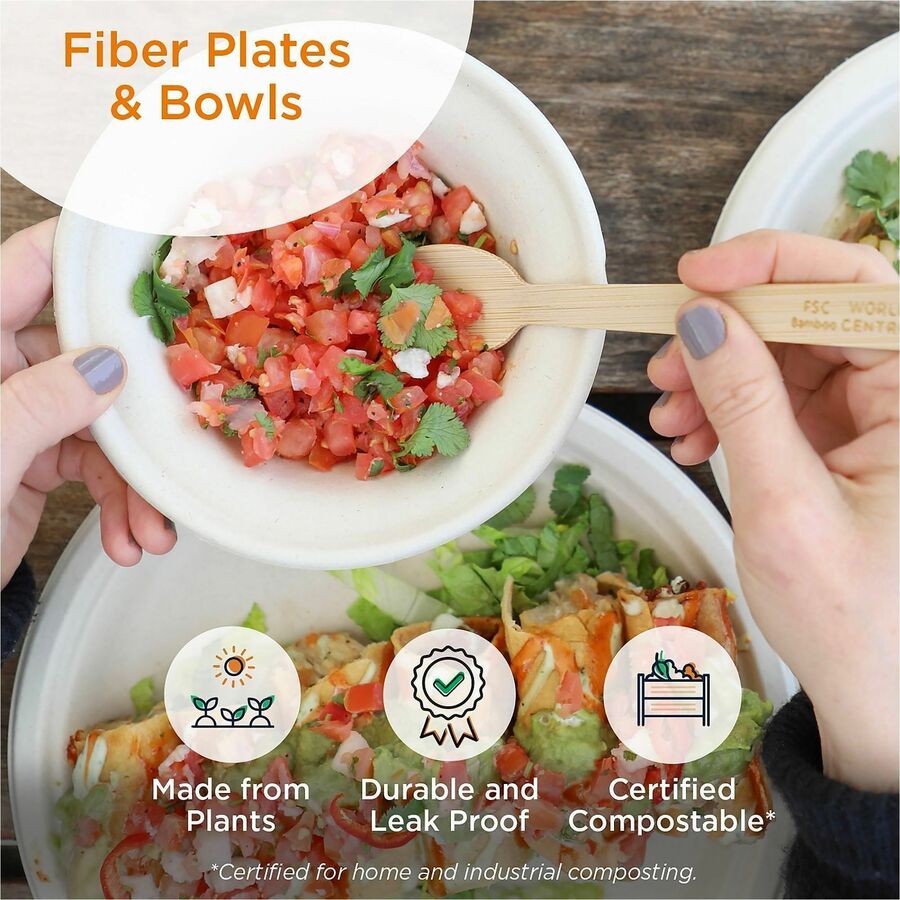 Fiber Plates, Plate, 10.1" Diameter, Natural, 800/Carton