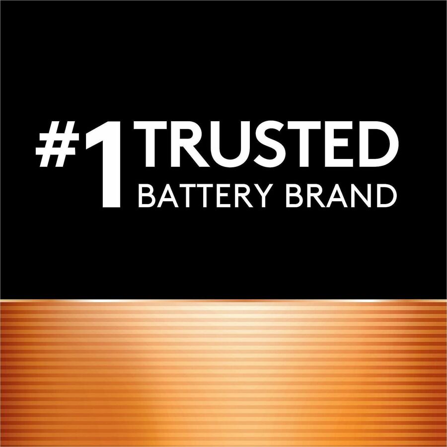 Specialty Alkaline Battery, 76/675, 1.5 V