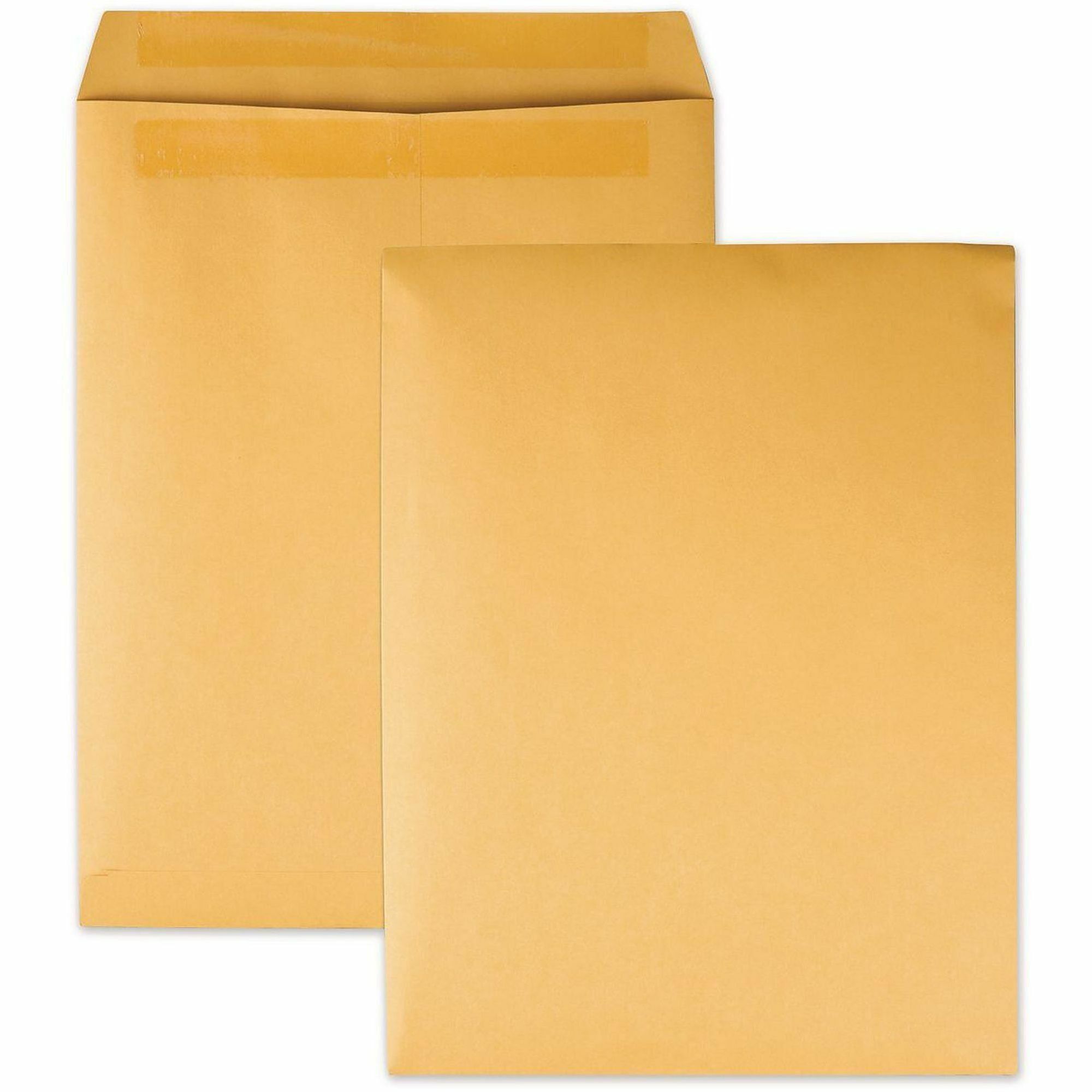 Redi-Seal Catalog Envelope, #12 1/2, Cheese Blade Flap, Redi-Seal Adhesive Closure, 9.5 x 12.5, Brown Kraft, 100/Box