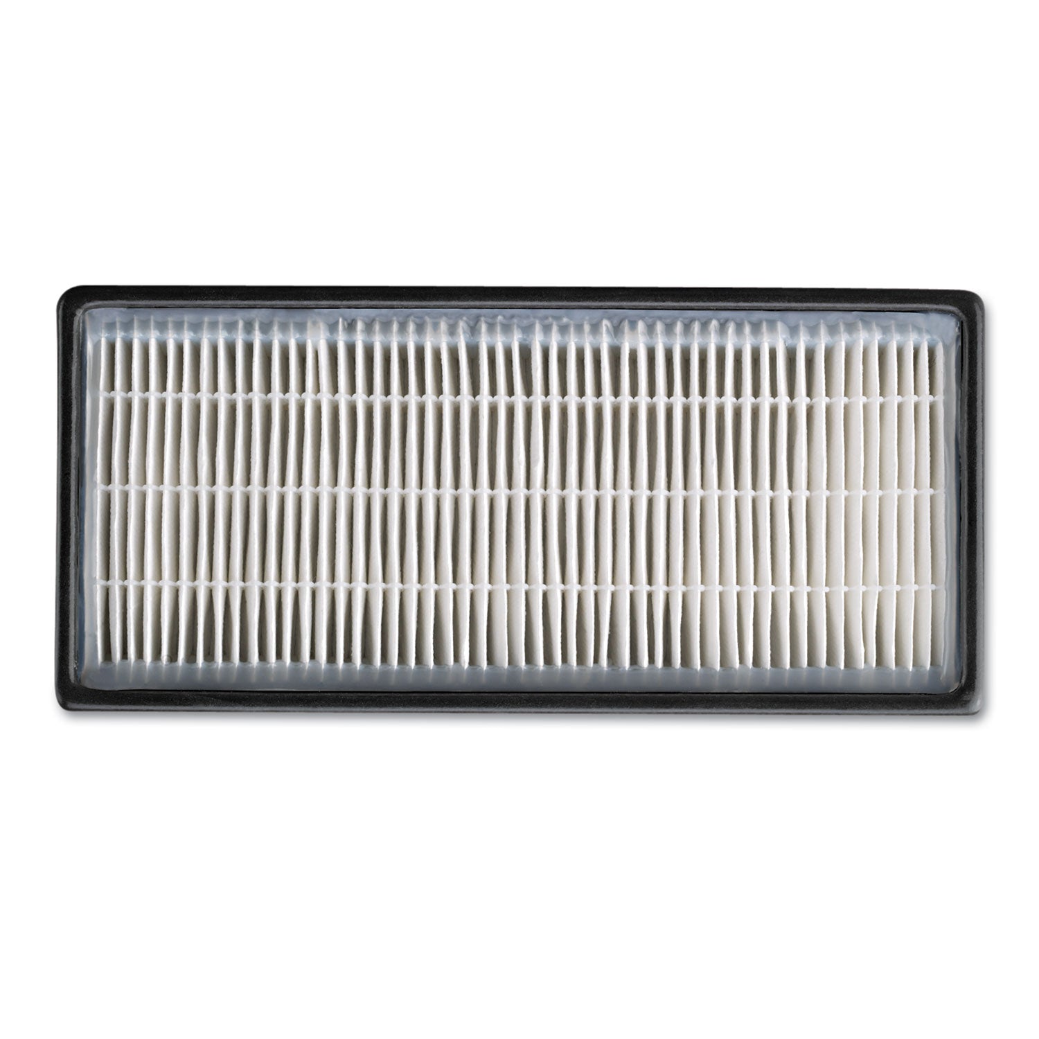 HEPAClean Replacement Filter, 5 x 10.2, 2/Pack - 