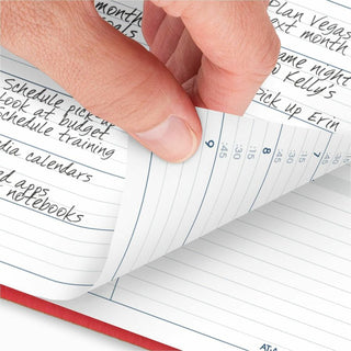 At-A-Glance Fashion Appointment Book Planner - Large Size - Julian Dates - Weekly - 1 Year - January 2024 - December 2024 - 8:00 AM to 9:45 PM - Quarter-hourly, 8:00 AM to 5:45 PM - Quarter-hourly - 1 Week Double Page Layout - 8 1/4" x 11" White Shee