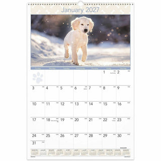 At-A-Glance Puppies Wall Calendar - Large Size - Julian Dates - Monthly, Yearly - 12 Month - January 2024 - December 2024 - 1 Month Single Page Layout - 15 1/2" x 22 3/4" White Sheet - 2" x 2.13" Block - Wire Bound - White - Chipboard, Paper - Hangin