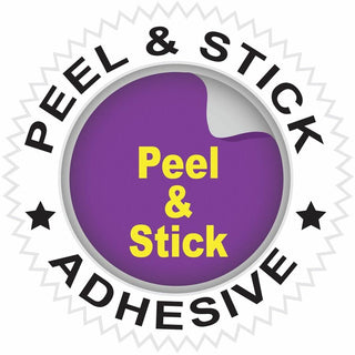 C-Line Self-Adhesive Binder Label Holders - For 2-inch Ring Binders, Peel & Stick, 2-1/4 x 3-1/16, 12/PK, 70023