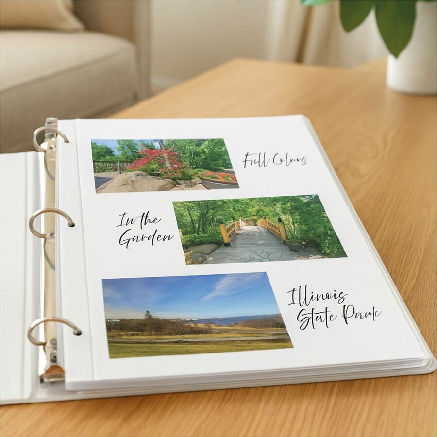 Redi-Mount Photo-Mounting Sheets, 11 x 9, 50/Box