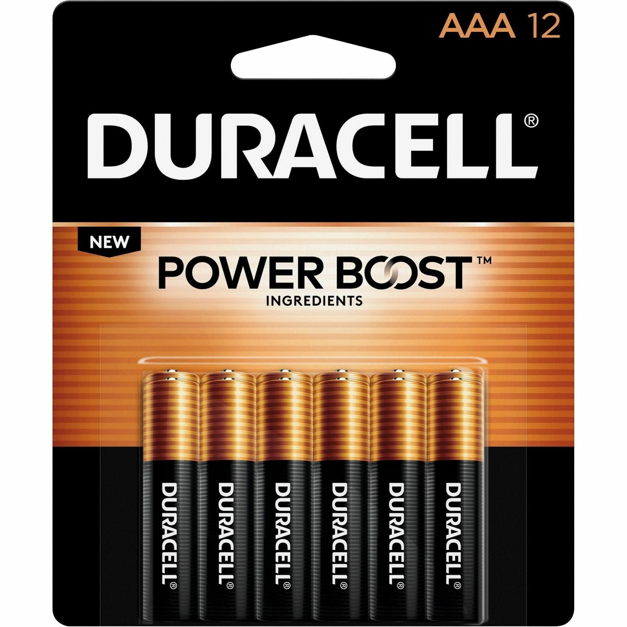 Power Boost CopperTop Alkaline AAA Batteries, 12/Pack