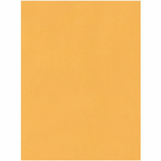 Jumbo Size Kraft Envelope, Cheese Blade Flap, Fold-Over Closure, 15 x 20, Brown Kraft, 25/Pack