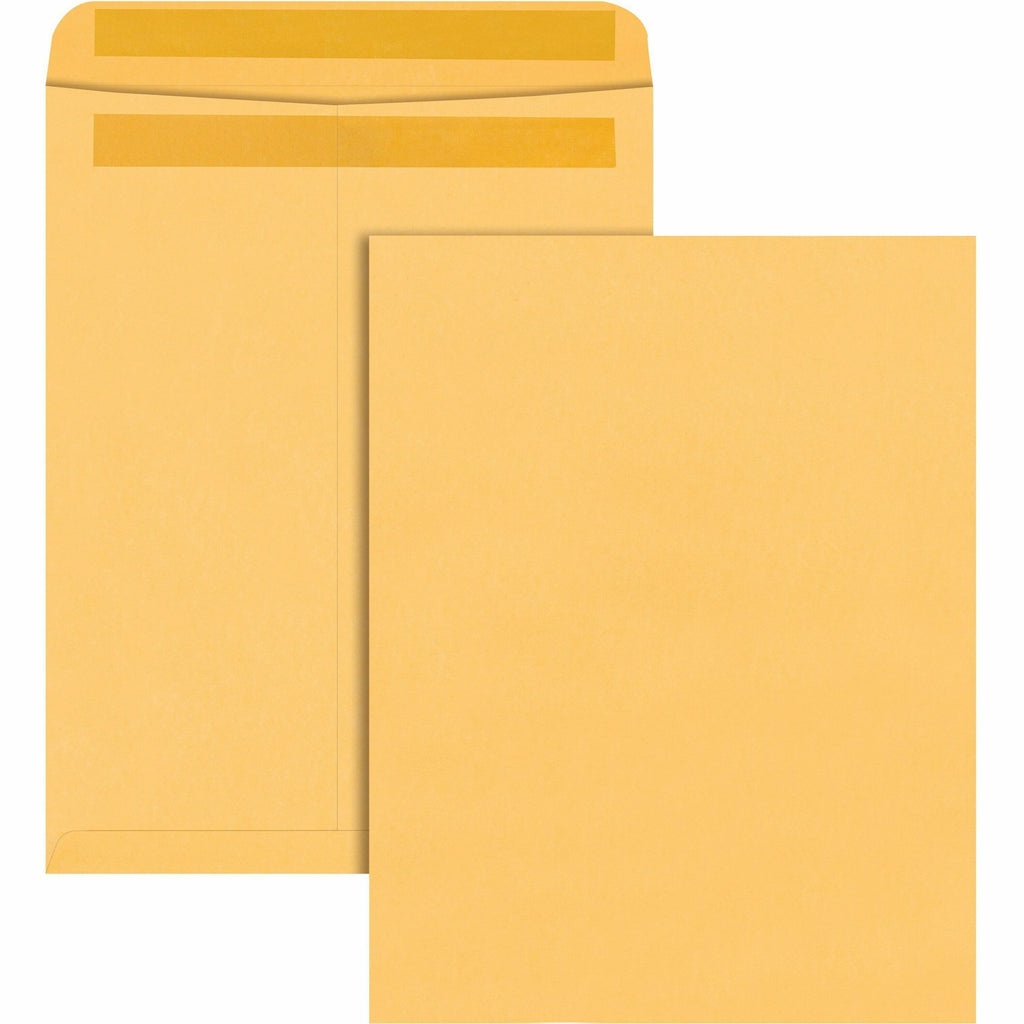 Redi-Seal Catalog Envelope, #15 1/2, Cheese Blade Flap, Redi-Seal Adhesive Closure, 12 x 15.5, Brown Kraft, 100/Box