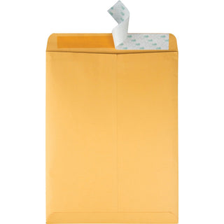 Redi-Strip Catalog Envelope, #13 1/2, Cheese Blade Flap, Redi-Strip Adhesive Closure, 10 x 13, Brown Kraft, 100/Box