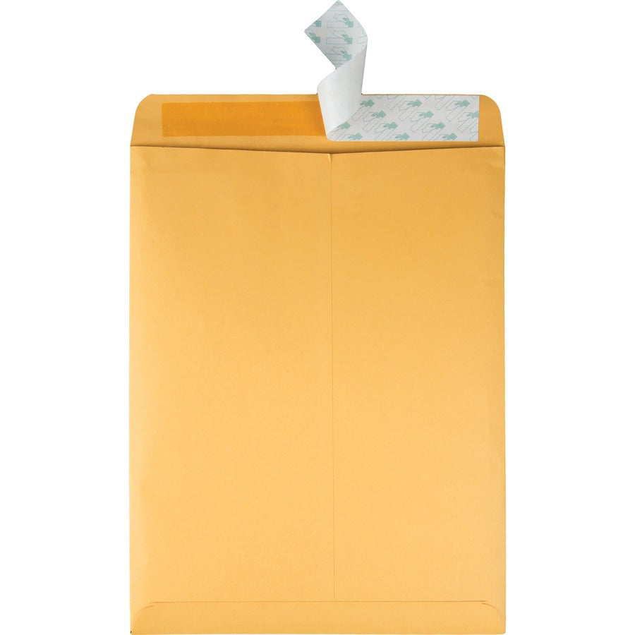Redi-Strip Catalog Envelope, #13 1/2, Cheese Blade Flap, Redi-Strip Adhesive Closure, 10 x 13, Brown Kraft, 100/Box