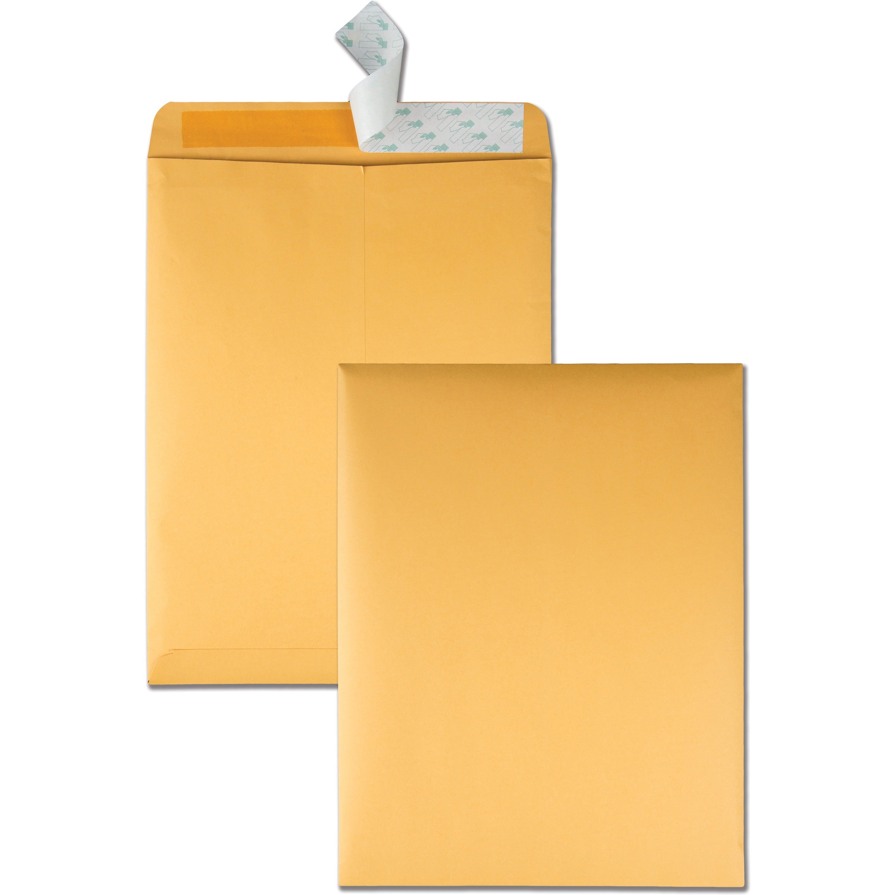 Redi-Strip Catalog Envelope, #13 1/2, Cheese Blade Flap, Redi-Strip Adhesive Closure, 10 x 13, Brown Kraft, 100/Box