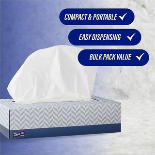 Genuine Joe Facial Tissue - 2 Ply - White - Soft - 100 Per Box - 30 / Carton