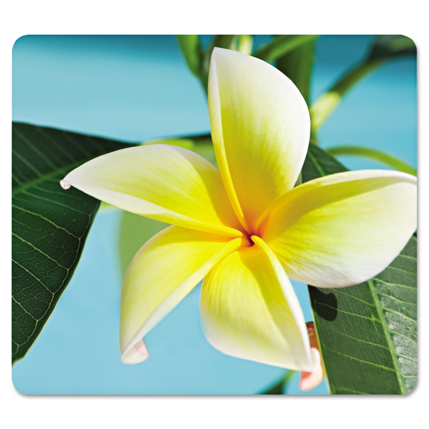 Recycled Mouse Pad, 9 x 8, Yellow Flowers Design - 