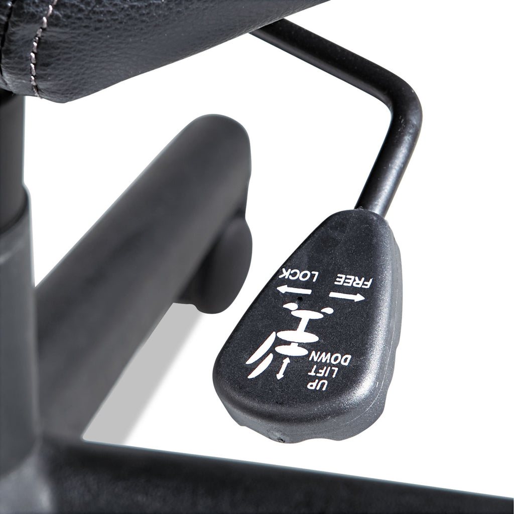 Executive Swivel/Tilt Chair, Supports Up to 250 lb, 16.93" to 20.67" Seat Height, Black - 
