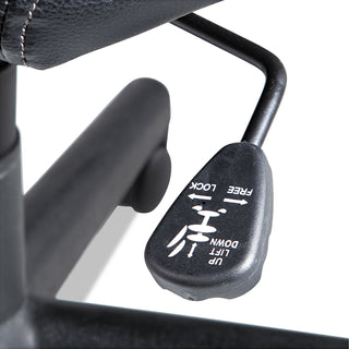 Executive Swivel/Tilt Chair, Supports Up to 250 lb, 16.93" to 20.67" Seat Height, Black - 